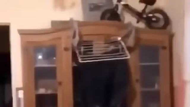 Des vélos en l'air meme card, rare rarity