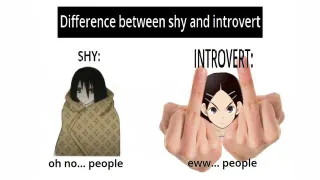 Difference Between Shy and Introvert meme card, common rarity