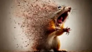 Carte meme Disintegrating Squirrel, rareté commune