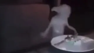 Dobby Going Crazy meme card, common rarity