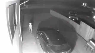 Dobby Security Camera Footage meme card, common rarity
