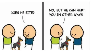 Does He Bite? meme card, rare rarity