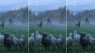 Carte meme Dog Defending Sheep From Werewolf, rareté commune