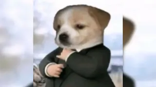 Dog In A Suit meme card, common rarity