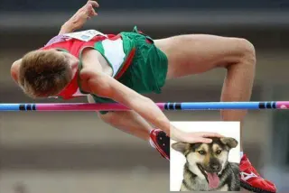 Dog Petting Photoshops meme card, rare rarity