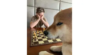 Dog Playing Chess meme card, common rarity
