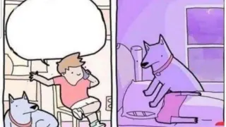 Carte meme Dog Smothering Owner, rareté rare