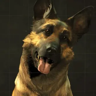 Dogmeat meme card, common rarity