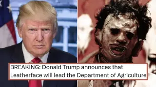 Donald Trump Announces meme card, common rarity