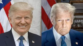 Donald Trump Presidential Portraits meme card, common rarity