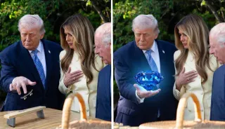 Donald Trump Showing Objects / Holding Bee meme card, common rarity