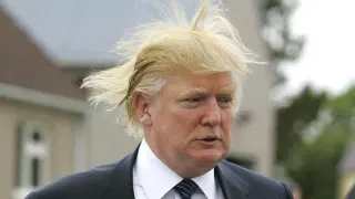 Carte meme Donald Trump’s Hair, rareté commune