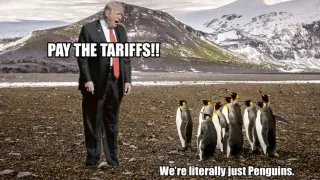 Donald Trump's Penguin Tariffs meme card, common rarity