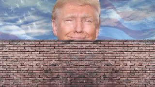 Donald Trump's Wall meme card, rare rarity