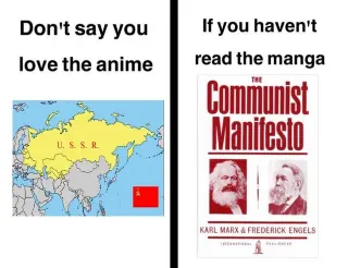 Don't Say You Love the Anime If You Haven't Read the Manga meme card, common rarity