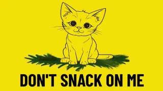 Don't Snack on Me meme card, common rarity