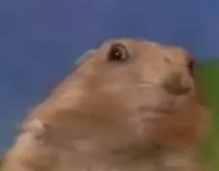 Carte meme Dramatic Chipmunk, rareté épique
