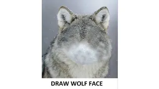 Carte meme Draw Wolf Face, rareté commune