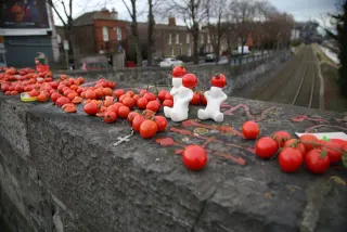 Dublin Cherry Tomato Bridge meme card, common rarity