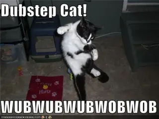 Dubstep Remix Videos meme card, rare rarity