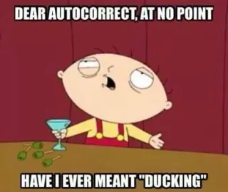 Ducking meme card, common rarity