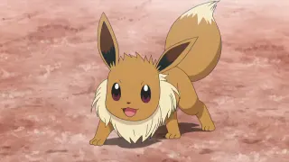 Eevee meme card, common rarity