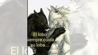 Carte meme El Lobo Siempre Cuida Su Loba, rareté commune