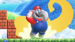Elephant Mario meme card, common rarity