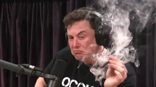 Elon Musk Smoking Weed meme card, rare rarity