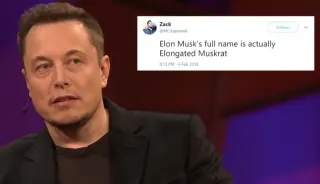 Elongated Muskrat meme card, rare rarity