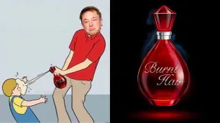 Carte meme Elon’s Musk / Burnt Hair, rareté commune
