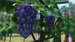 Endwalker's Low-Poly Grapes meme card, common rarity