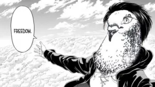 Eren Bird meme card, common rarity