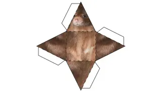Eternal Rat Prism meme card, common rarity
