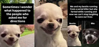 Carte meme Evil Chihuahua Smiling, rareté commune
