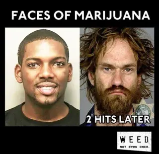 Faces of Marijuana meme card, epic rarity