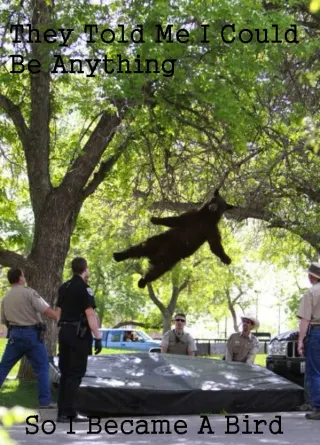 Carte meme Falling Bear, rareté commune