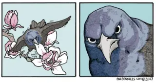 Carte meme False Knees, rareté commune
