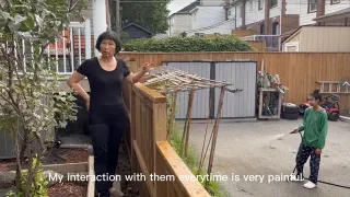 Fence Lady meme card, common rarity