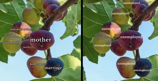 Carte meme Fig Tree Analogy, rareté commune