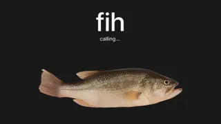 Fih meme card, common rarity