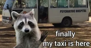 Finally My Taxi Is Here / GTG My Bus Is Here meme card, common rarity