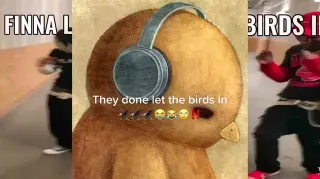 Finna Let The Birds In meme card, common rarity