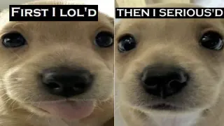 Carte meme First I Loled, Then I Serioused, rareté commune