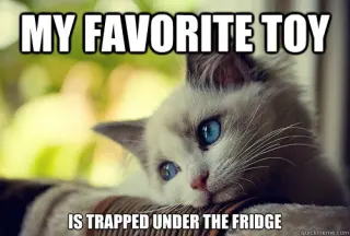 Carte meme First World Problems Cat, rareté rare