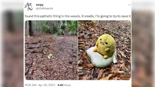Carte meme Found This Pathetic Thing In The Woods, rareté commune