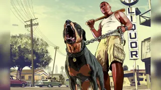 Franklin and Chop meme card, common rarity
