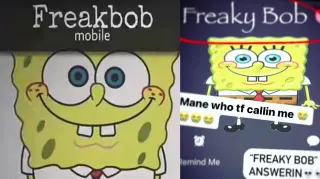 Carte meme Freakbob / Freakybob, rareté rare