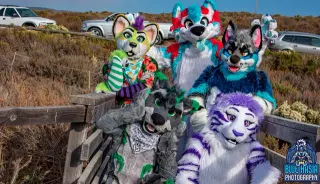 Carte meme Furry and Proud, rareté commune
