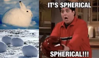 GameSphere / "It's Spherical!" meme card, common rarity